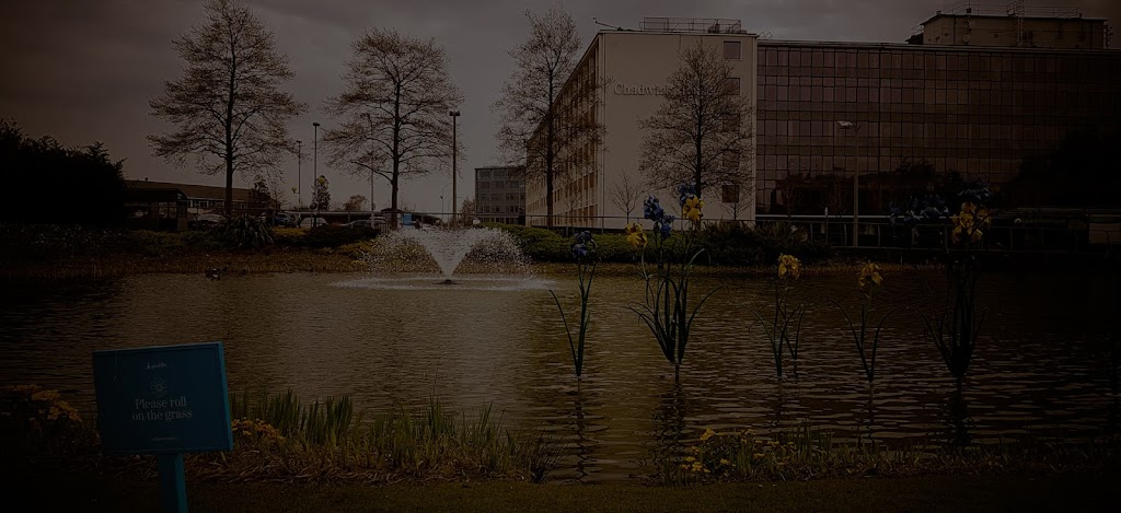 Falkon Digital – Your Digital Partners